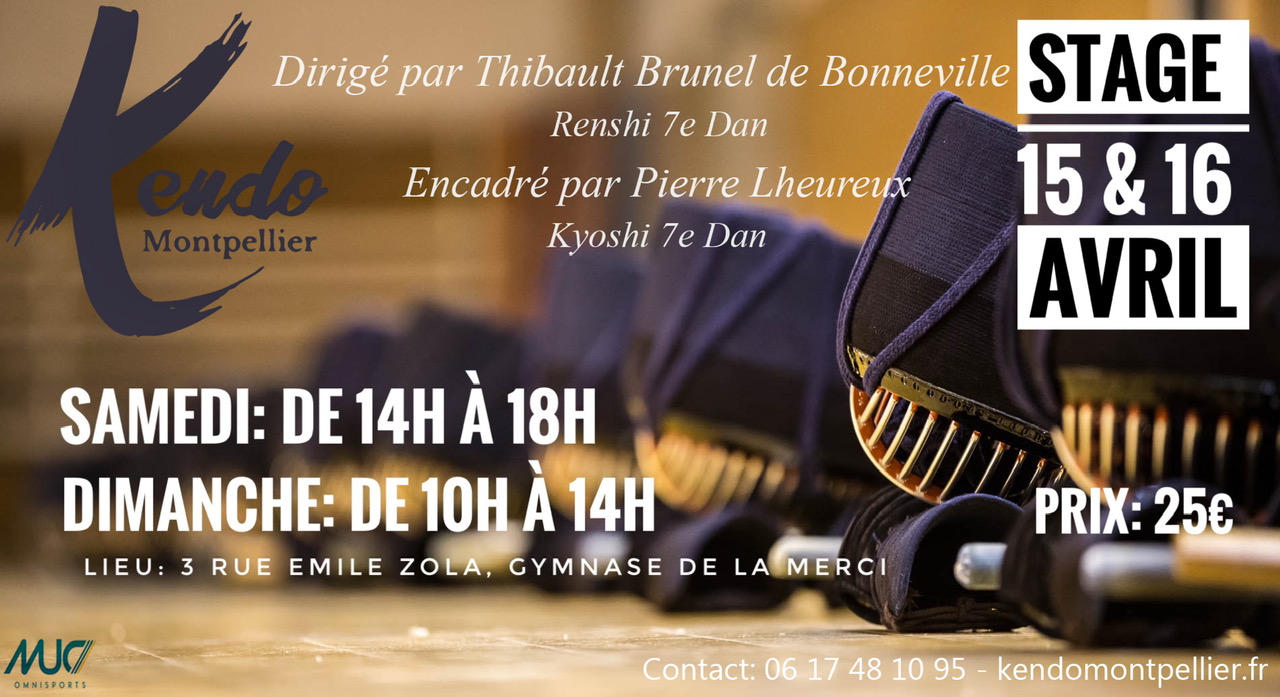 Affiche stage Kendo 15-16 avril 2023